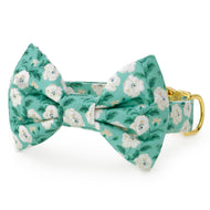 Seafoam Poppies Bow Tie Collar from The Foggy Dog