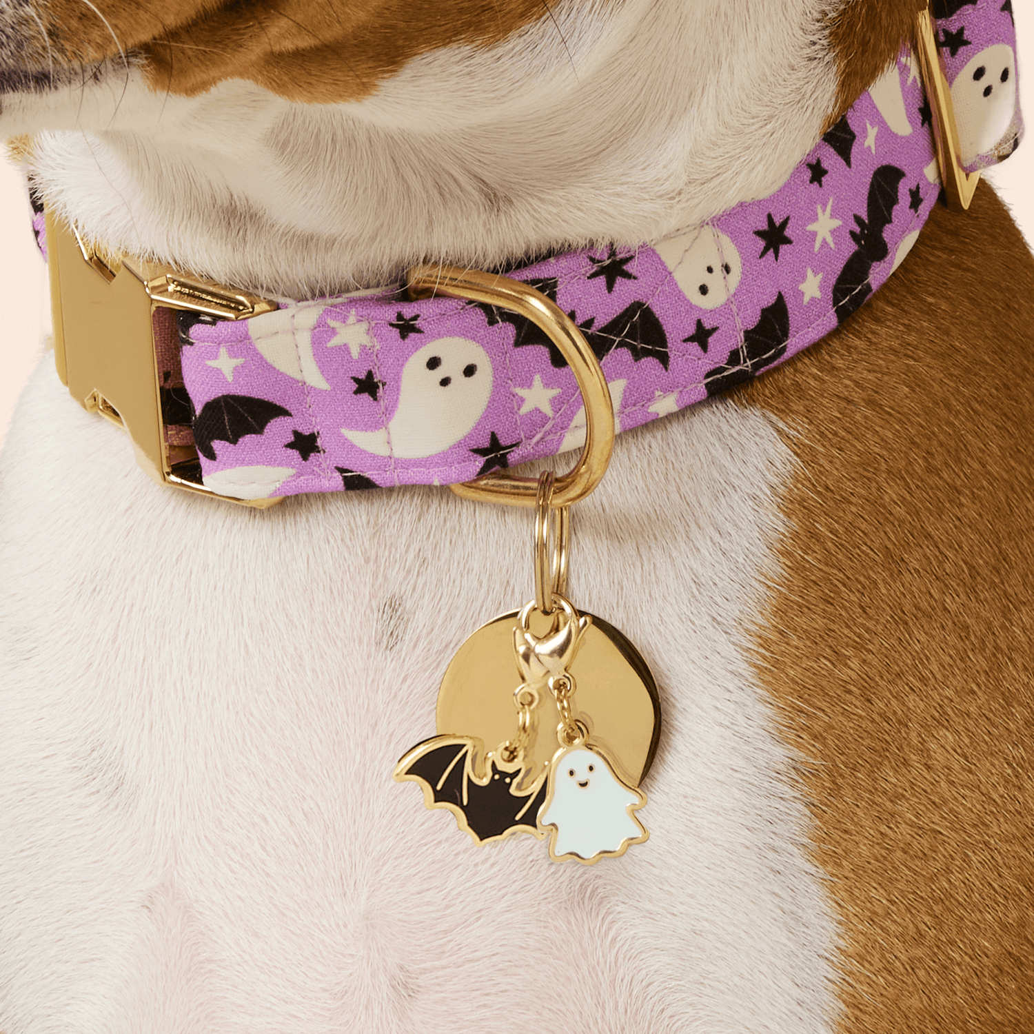 Bat and Ghost Collar Charm from The Foggy Dog