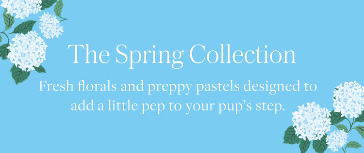 The Spring Collection The Foggy Dog