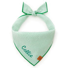Green Seersucker Dog Bandana
