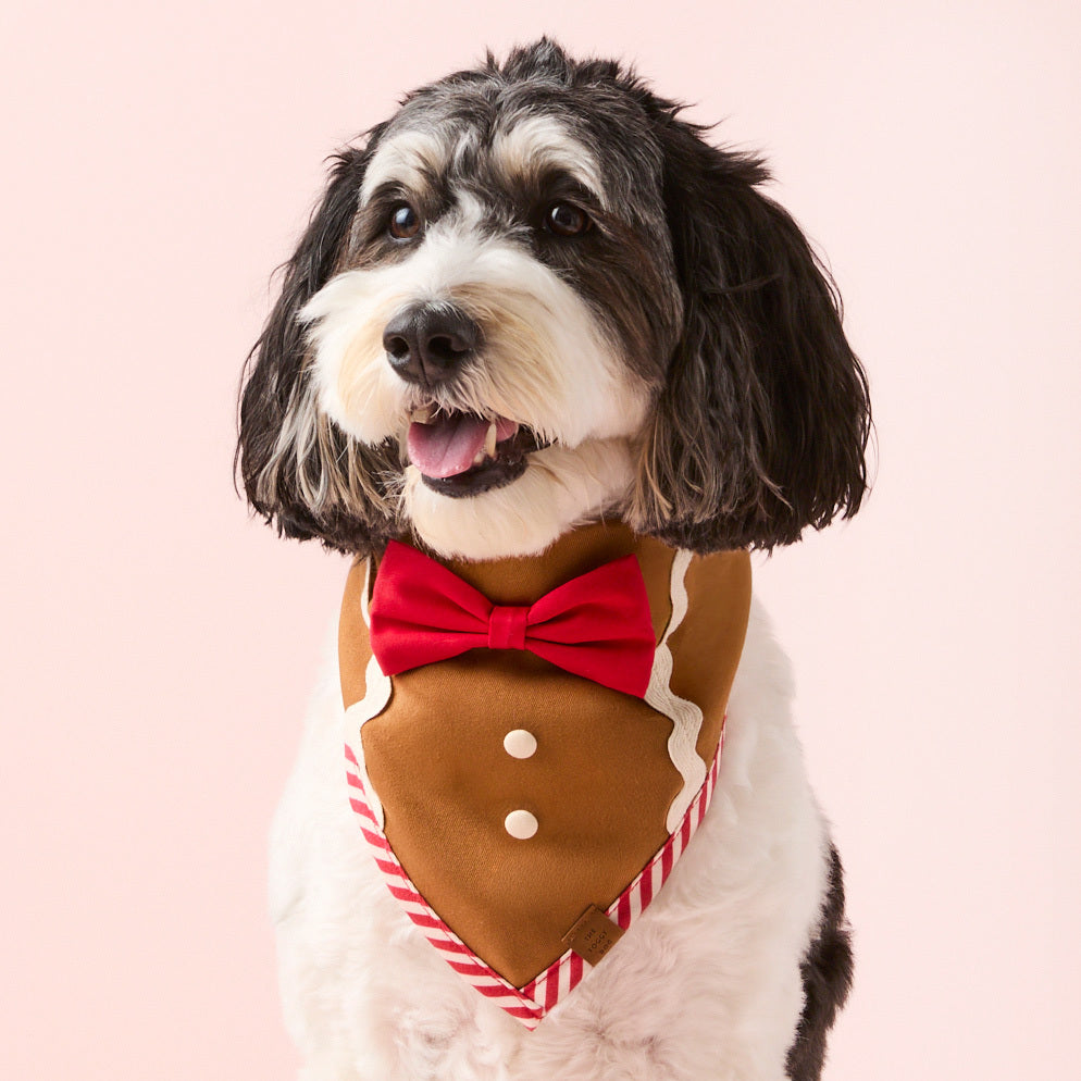 #Modeled by Reese (40lbs) in Medium