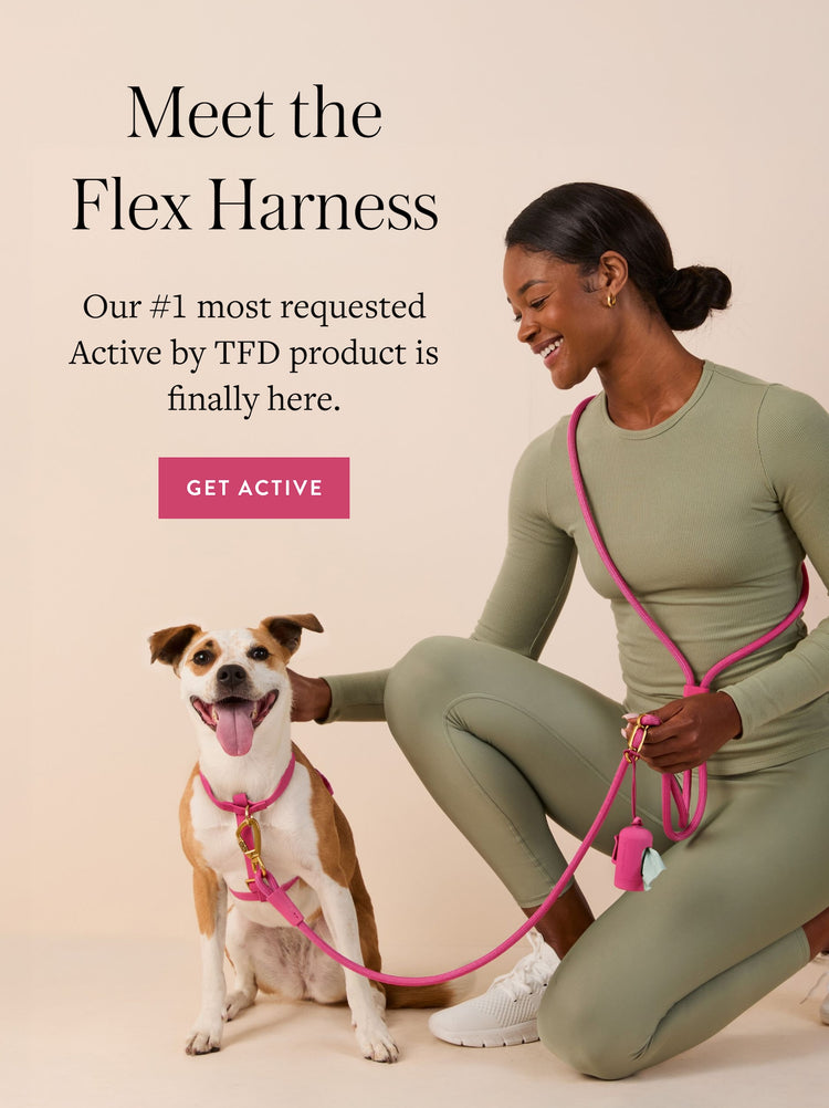 Active by The Foggy Dog. Meet the flex harness. Our #1 most requested Active by TFD product is finally here.
