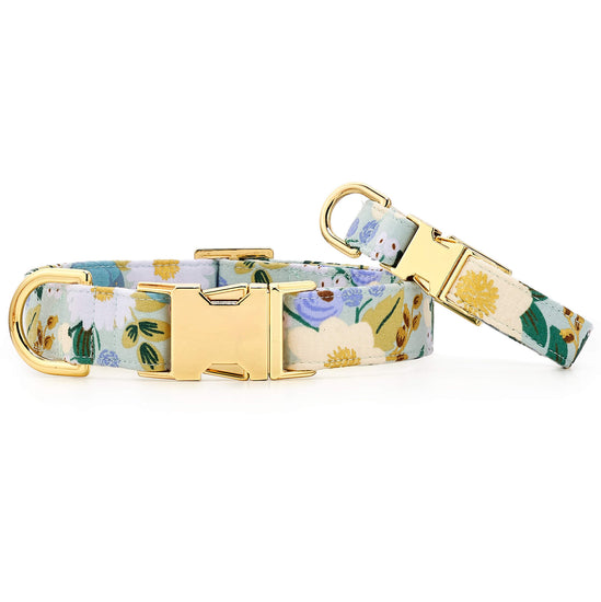 Rifle Paper Co. x TFD Vintage Blossom Dog Collar from The Foggy Dog