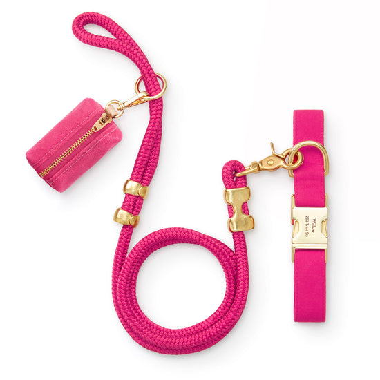 Hot Pink Collar Walk Set from The Foggy Dog