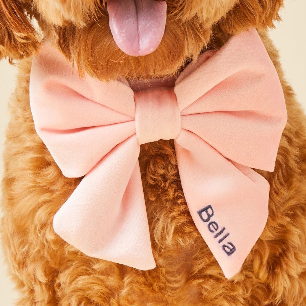 Embroidered Blush Pink Velvet Lady Dog Bow from The Foggy Dog
