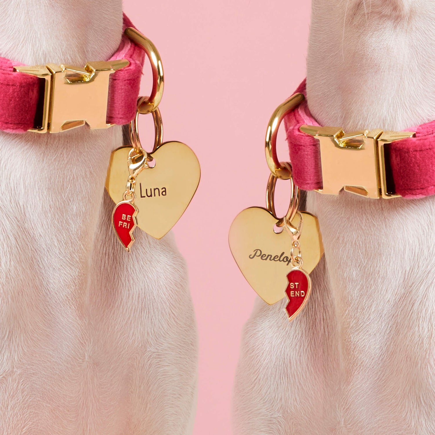 BFF Hearts Charm Set and Heart ID Tag from The Foggy Dog
