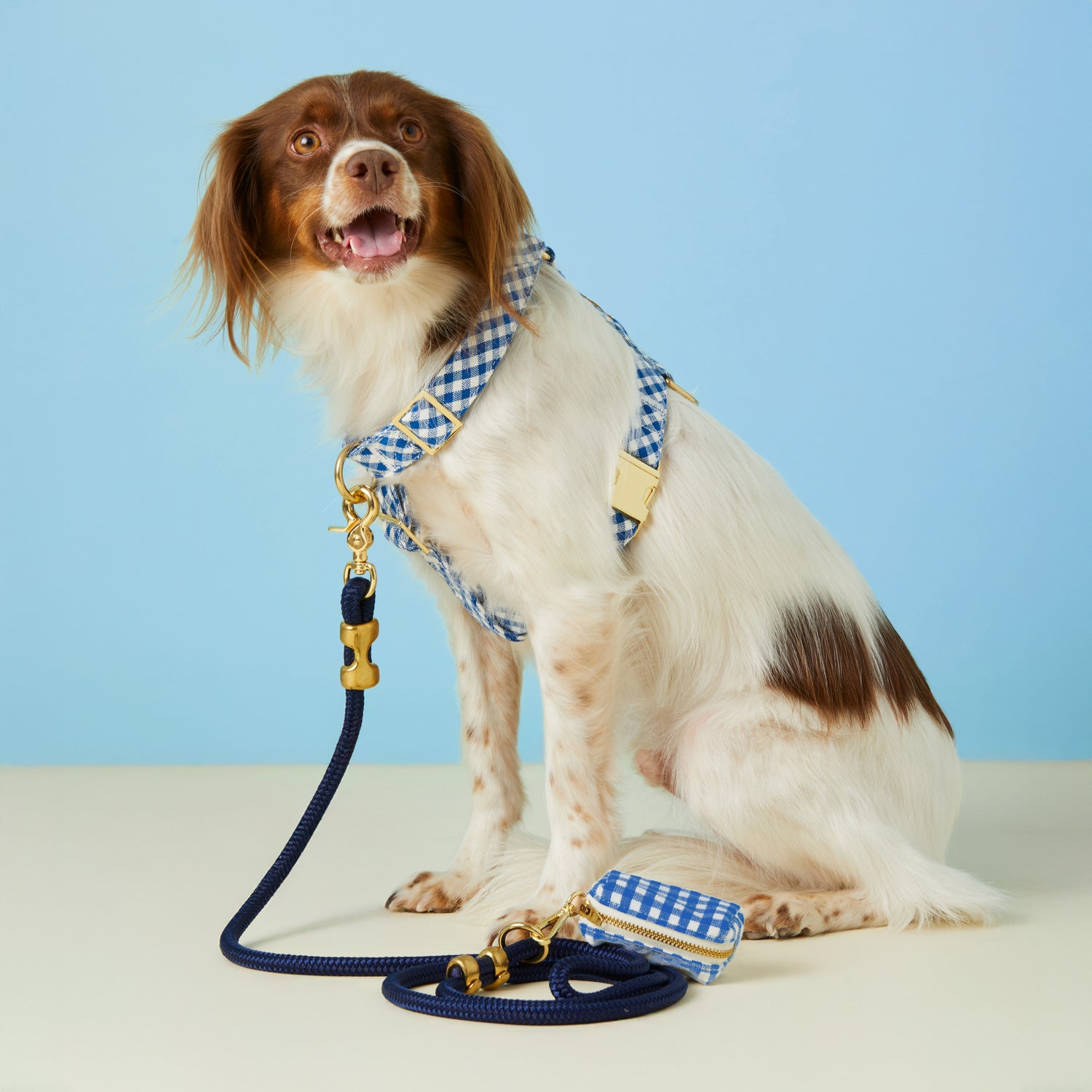 Lake Blue Gingham Waste Bag Holder and Harness Walk Set from The Foggy Dog