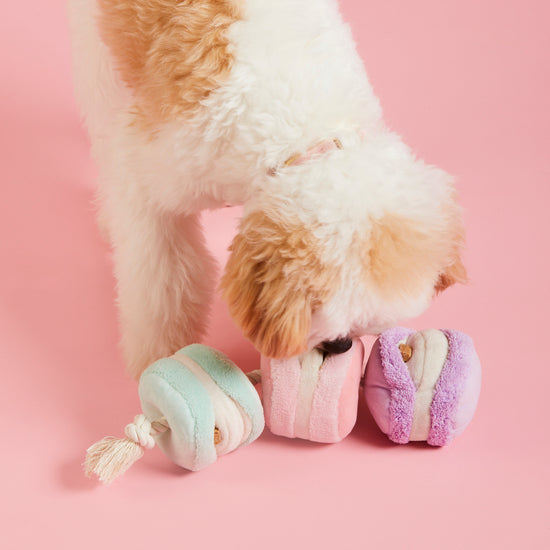 Macarons Interactive Snuffle Dog Toy from The Foggy Dog