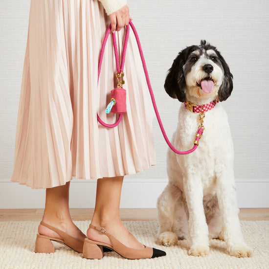 #Modeled by Reese (40lbs) in a Medium collar and Standard leash
