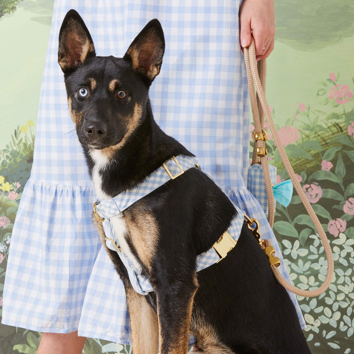 #Modeled by Blue (30lbs) in Medium