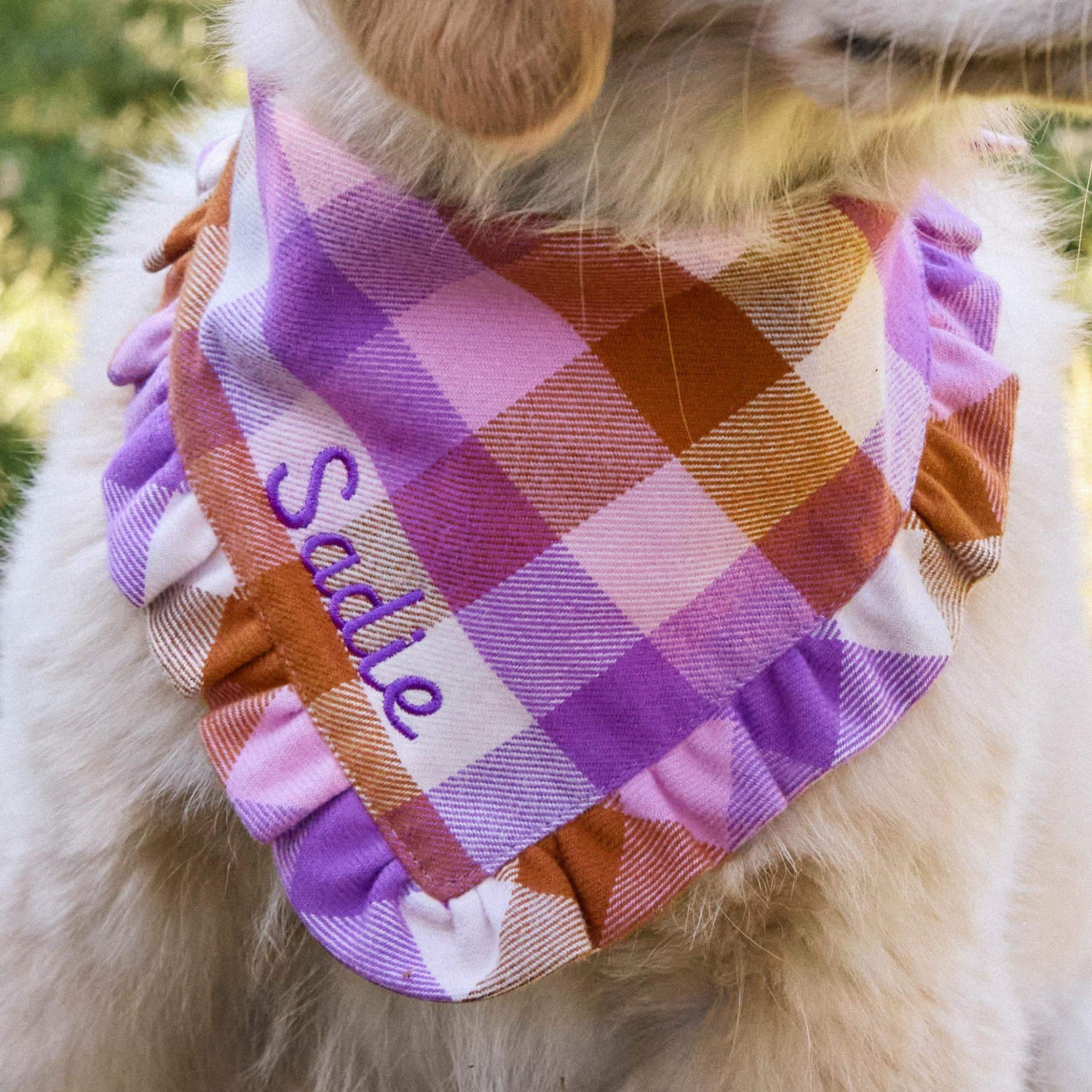 #Modeled by Rigatoni (24lbs) in Medium