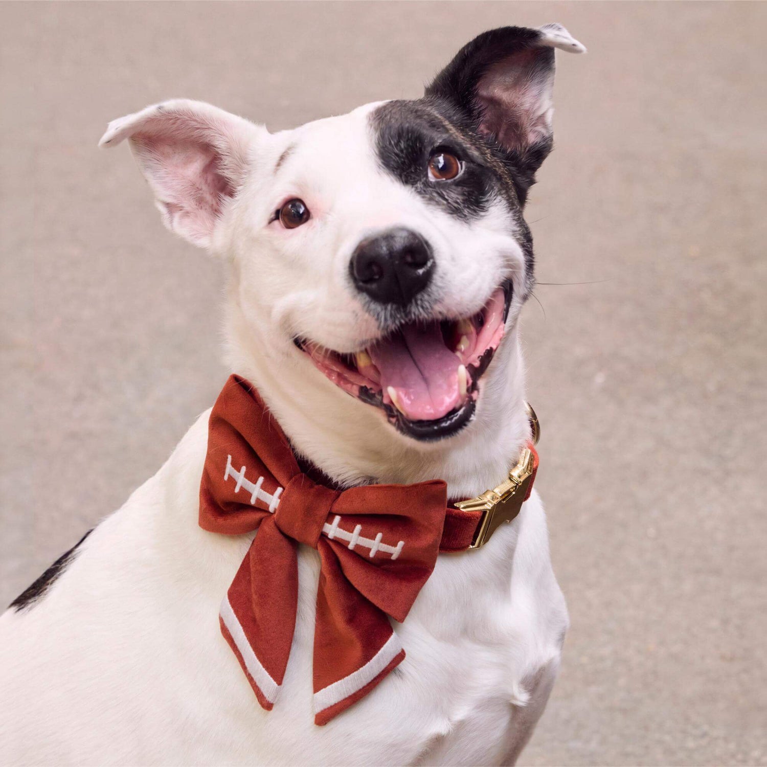 #Modeled by Ellie (45lbs) in a Large lady bow