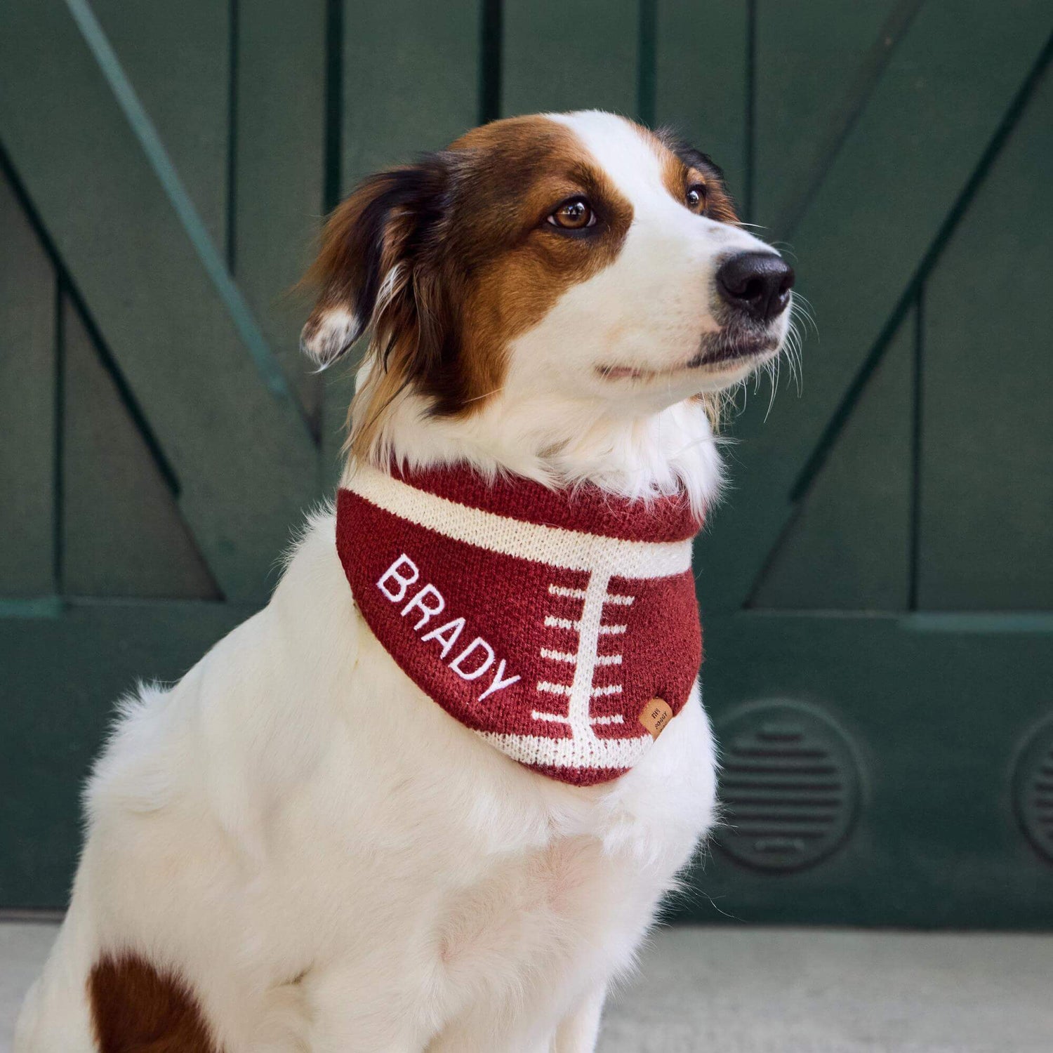 #Modeled by River (35lbs) in Medium