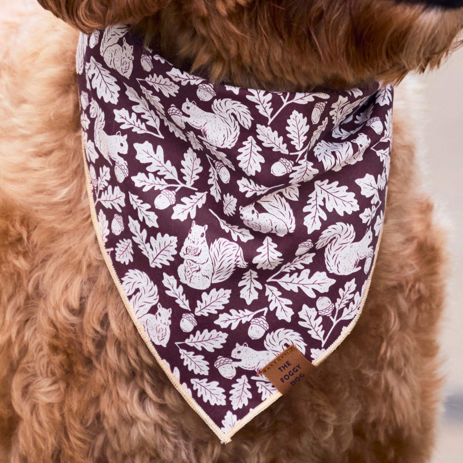 #Modeled by Bentley (43lbs) in Medium