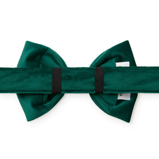Forest Green Velvet Dog Bow Tie from The Foggy Dog