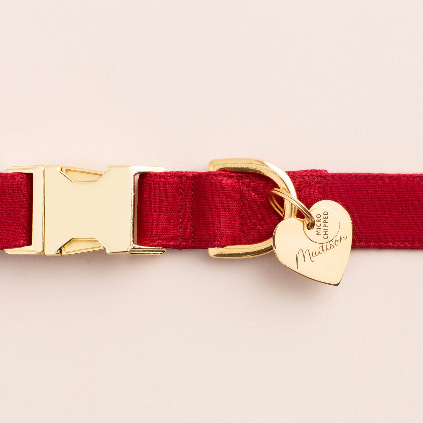 Microchipped Mini Pet ID Tag