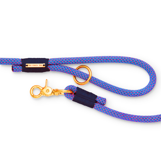 Neon Tetra Climbing Rope Dog Leash from The Foggy Dog