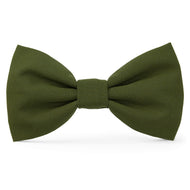 Olive Dog Bow Tie from The Foggy Dog