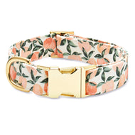 Peaches and Cream Dog Collar from The Foggy Dog