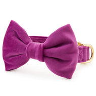 Plum Velvet Bow Tie Collar from The Foggy Dog