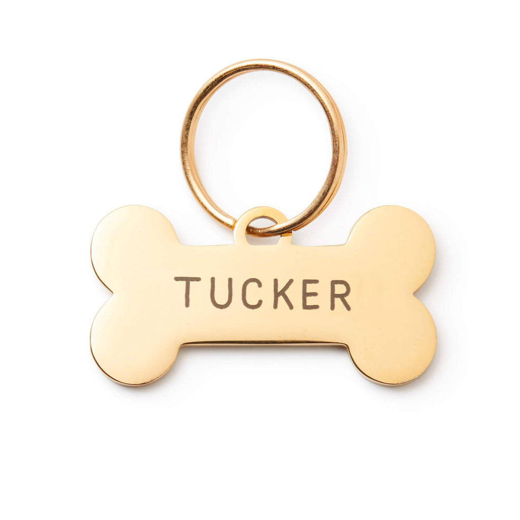 Stainless Steel Dog Tags Personalized Name Address Front Back
