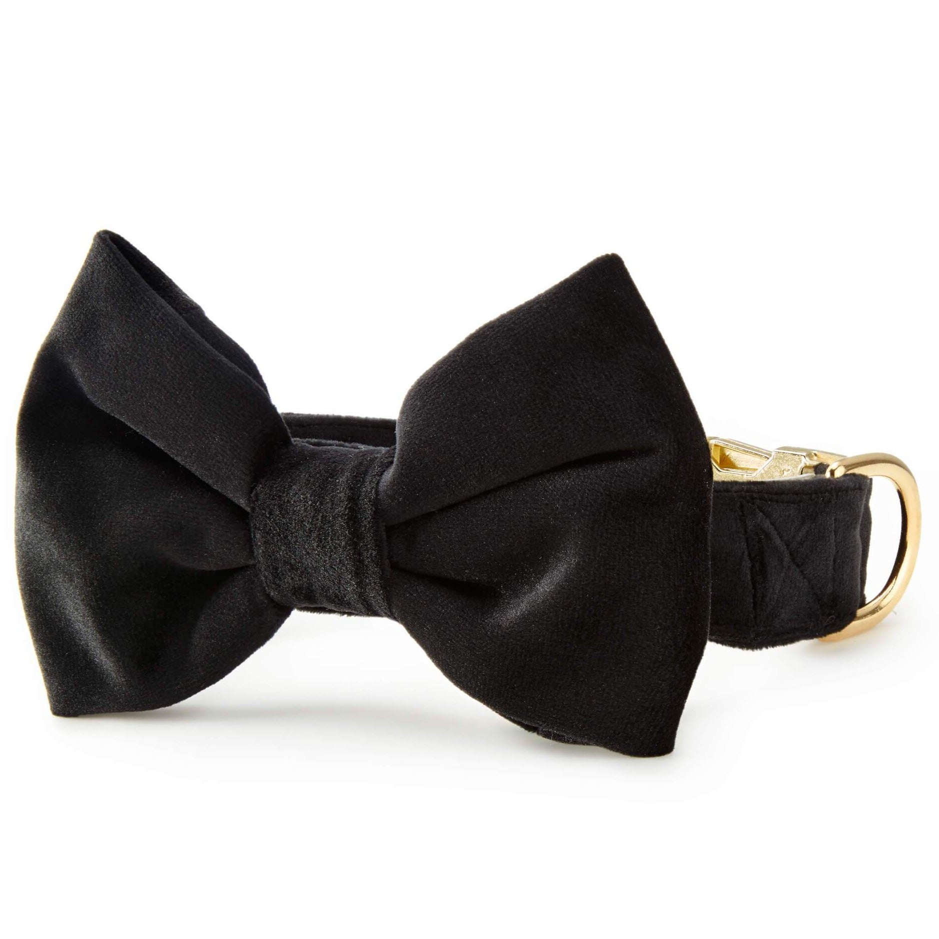 Black Velvet Bow Tie Collar - Main Image
