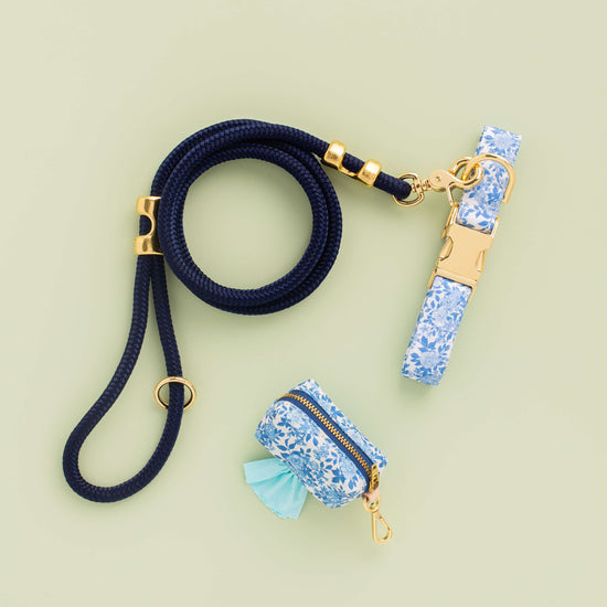 Blue Roses Collar Walk Set from The Foggy Dog
