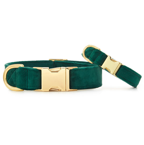 Forest Green Velvet Dog Collar from The Foggy Dog XS Gold 