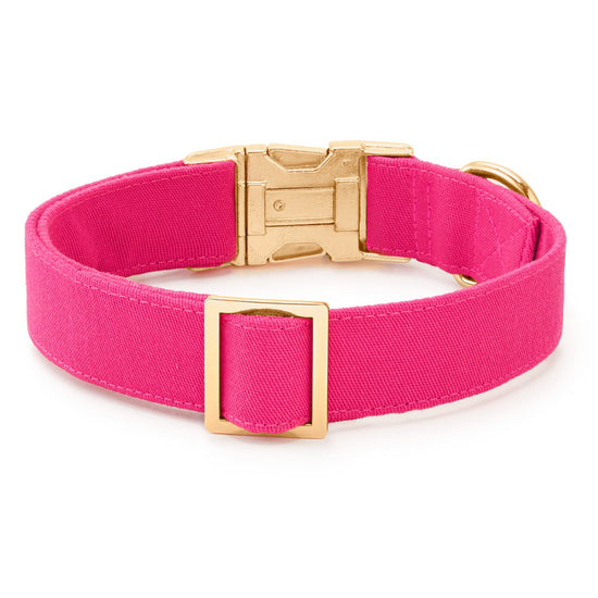 Hot Pink Dog Collar from The Foggy Dog 