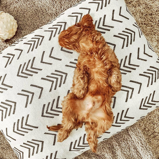 Modern Mud Cloth Natural Dog Bed from The Foggy Dog 