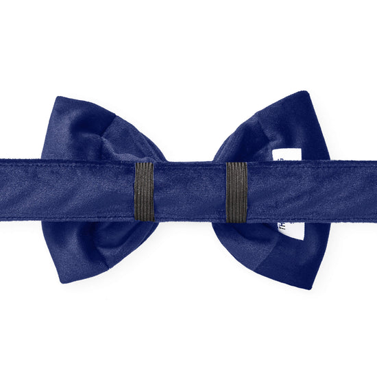 Navy Velvet Bow Tie Collar from The Foggy Dog 