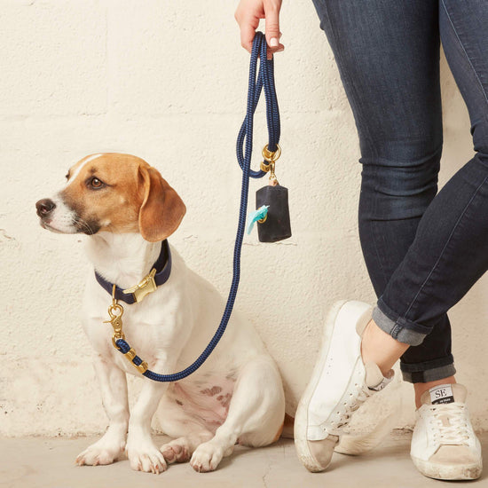 #Modeled by Maple (25lbs) in a Medium collar and Standard leash