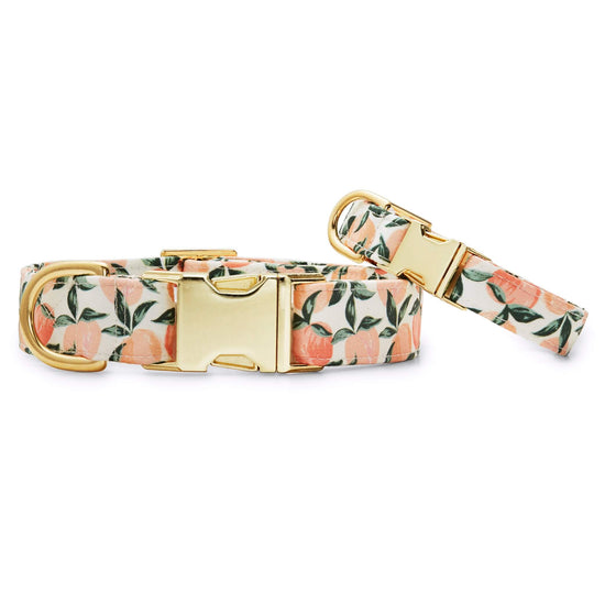 Peaches and Cream Dog Collar from The Foggy Dog 
