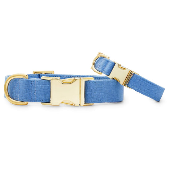 Periwinkle Dog Collar from The Foggy Dog 