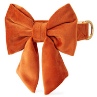 Pumpkin Velvet Lady Bow Collar from The Foggy Dog
