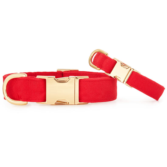 Ruby Dog Collar from The Foggy Dog XS 