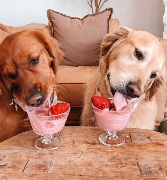 Dog Safe Ice Cream Recipe 🍓🍌