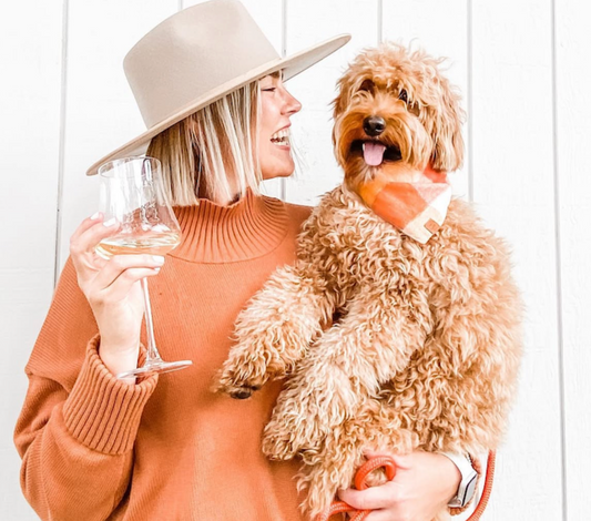 5 Ways to Celebrate Spoil Your Dog Day 🐶💕