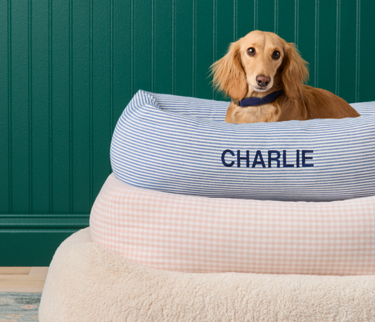 Dreamy Bolster Dog Beds