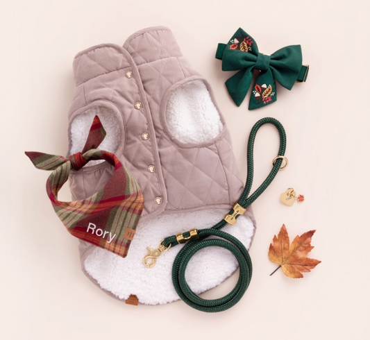 The Fall Lookbook 🍂