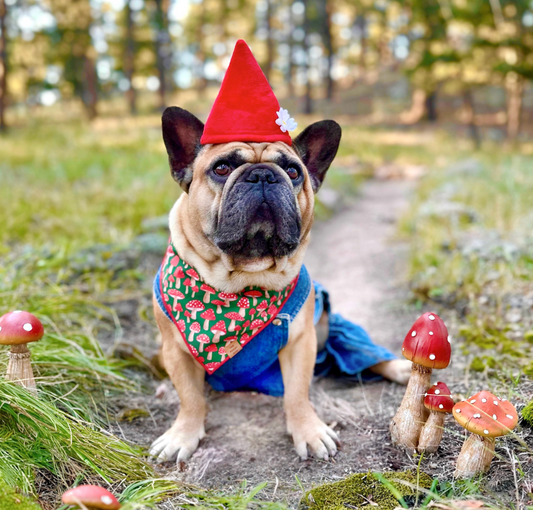 Halloween Costume Ideas 2025