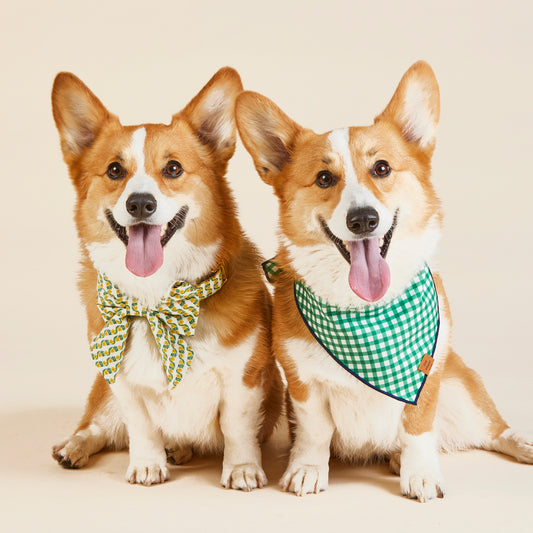 Mix & Match: Better Together