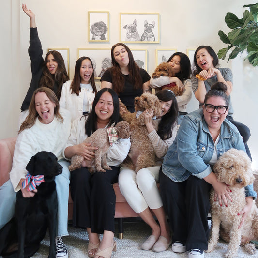 Small Business Saturday 2023 🛍️🐶