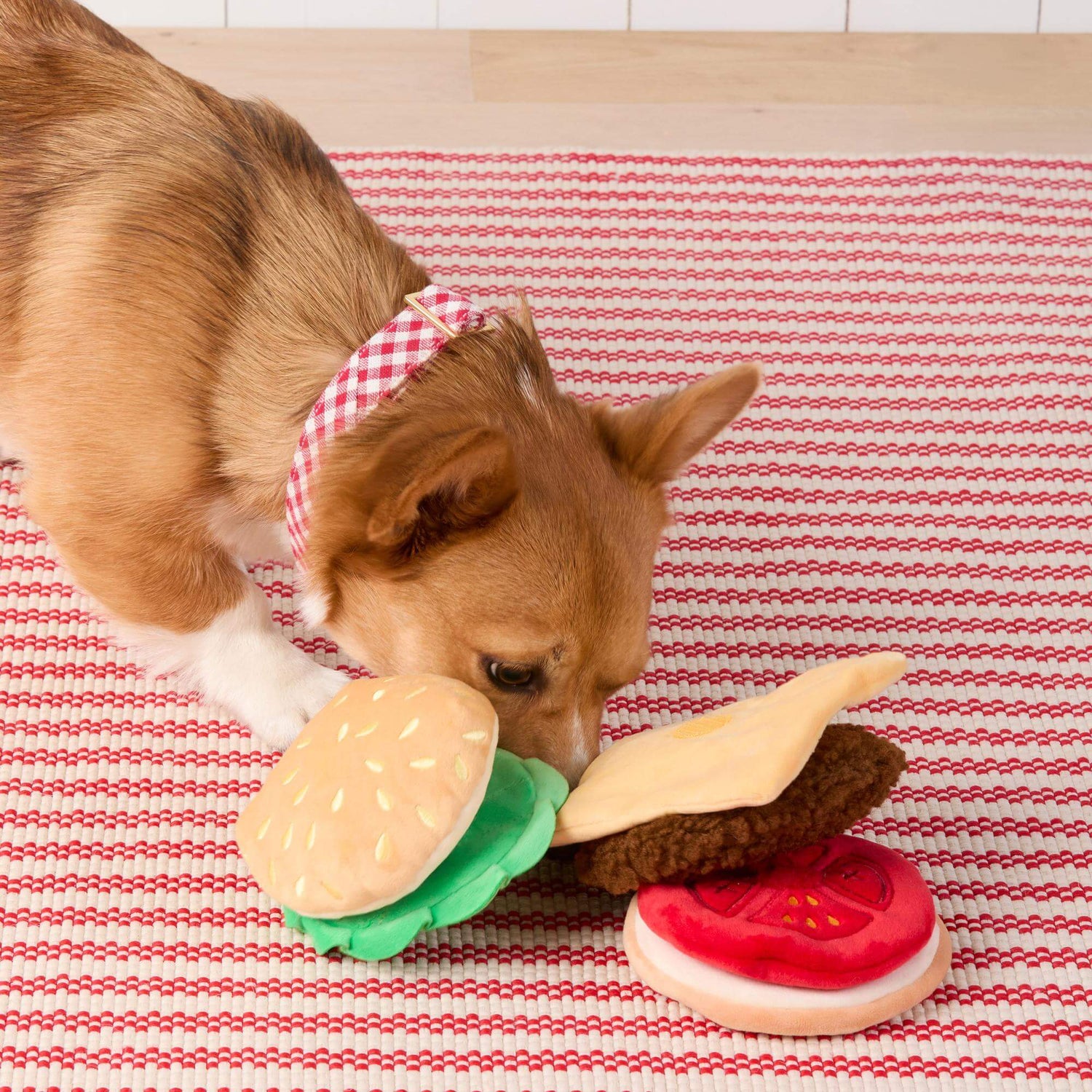 Dog Toys