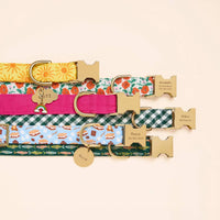 Here Comes the Sun, Hot Pink Dog Collar, Golden Poppies, Evergreen Gingham, Gone Fishing, and S'more to Love Dog Collar, Cloud and Circle Pet ID Tag, and Rainbow Collar Charm from The Foggy Dog