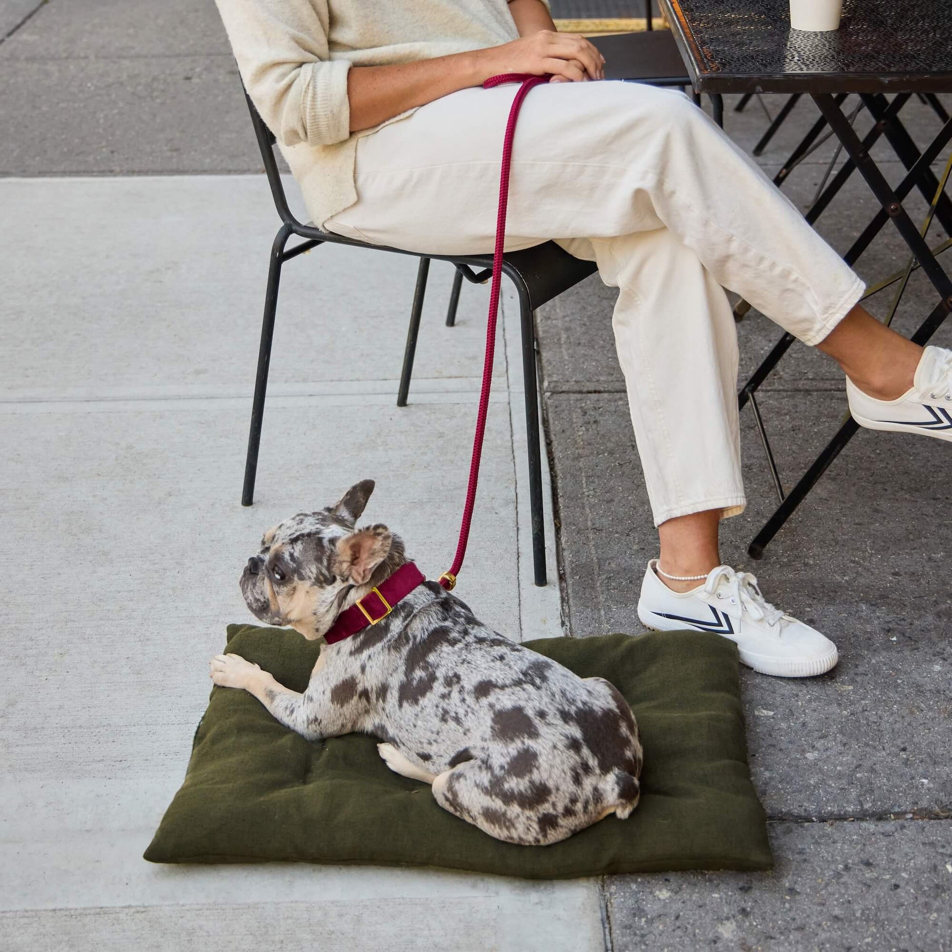 #Modeled by Dory (20lbs) on Medium