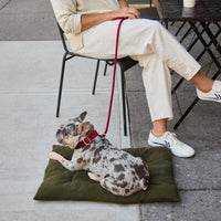 #Modeled by Dory (20lbs) on Medium