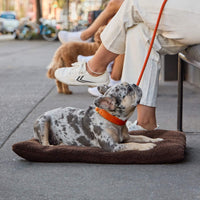 #Modeled by Dory (20lbs) on Medium