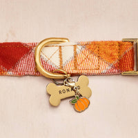 Pumpkin Spice Collar, Bone Pet ID Tag and Pumpkin Collar Charm from The Foggy Dog