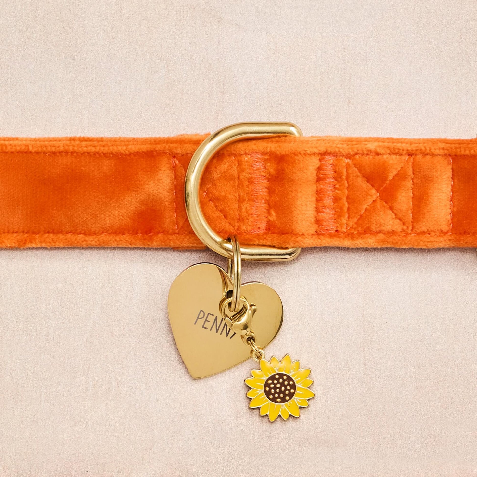 Pumpkin Velvet Collar, Heart Pet ID Tag and Sunflower Collar Charm from The Foggy Dog